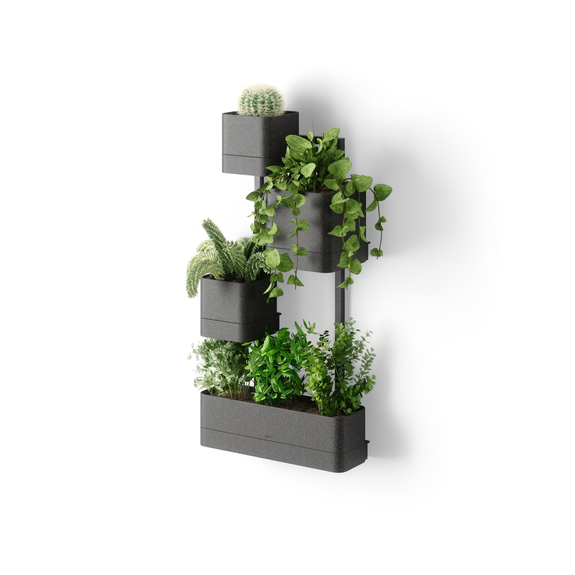 Cubiko Wall Planter